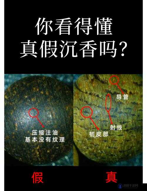 沉香的一线产区：探索其珍稀价值与独特魅力所在