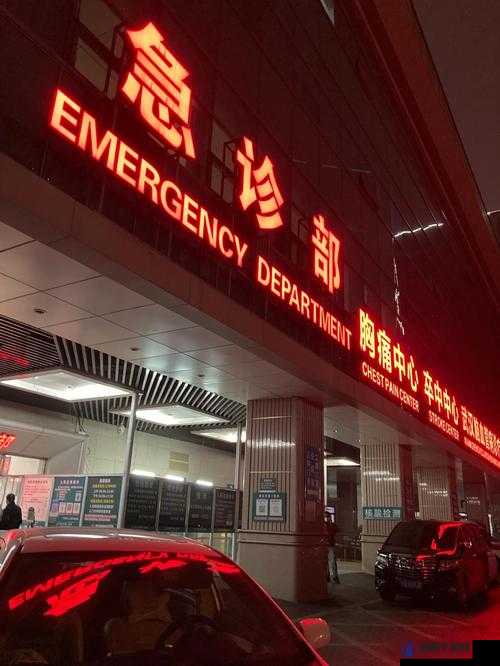 夜幕下的急诊室 2：生死时速中的坚守与希望