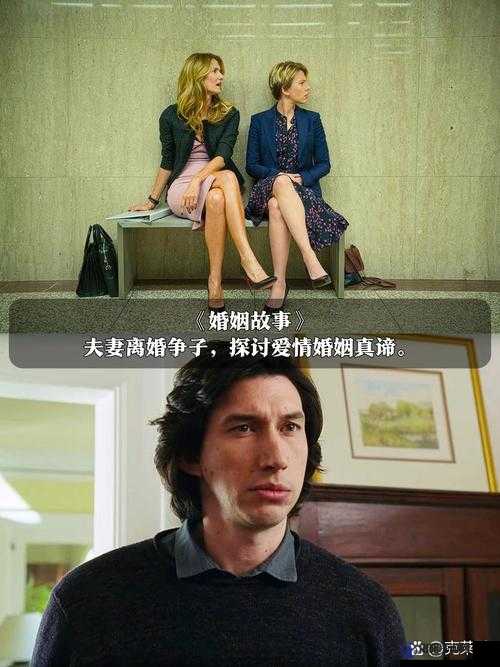 探索男女 WWW 背后的故事：情感纠葛与人性挣扎