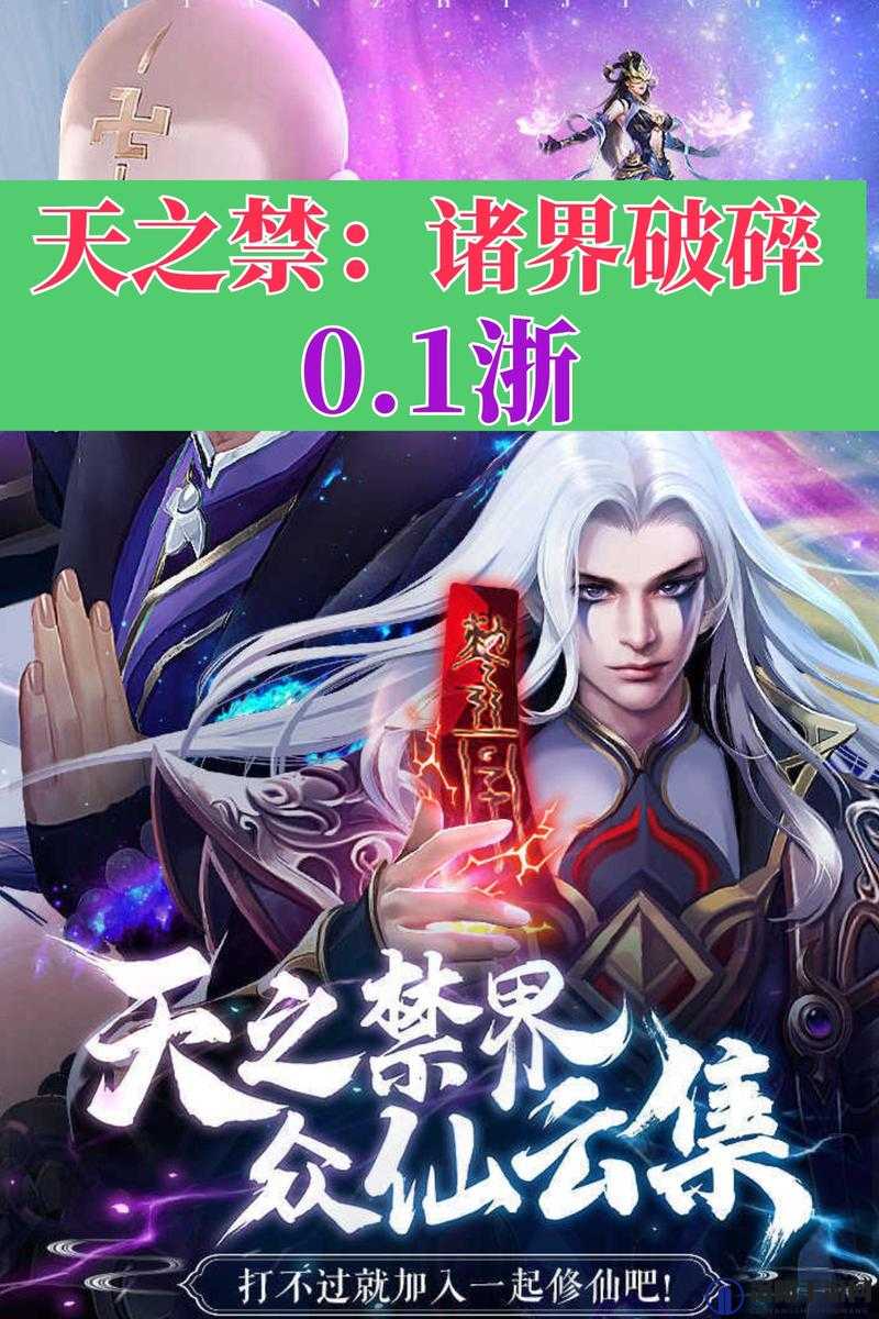 天之禁，诸界破碎圣装全解析，揭秘圣装系统奥秘