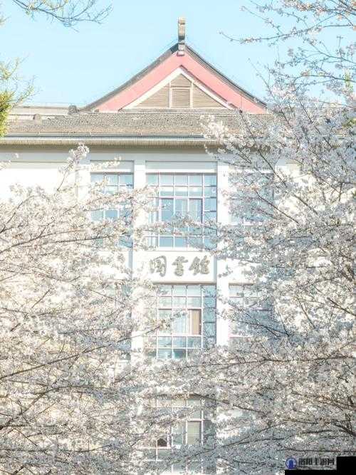 病勤楼栋 1-12 樱花未增减：现状探究与未来展望分析