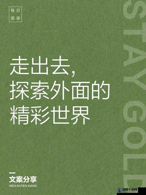 精品四区：探寻未知的精彩世界
