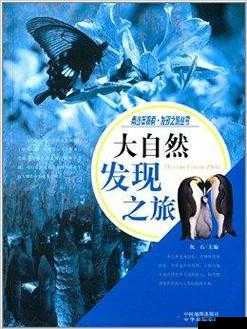 户外插bbbbb：一场关于自然与人性的探索之旅