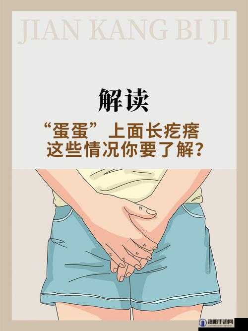 蛋蛋立了长什么样子呢：关于这个问题的深入探讨与分析