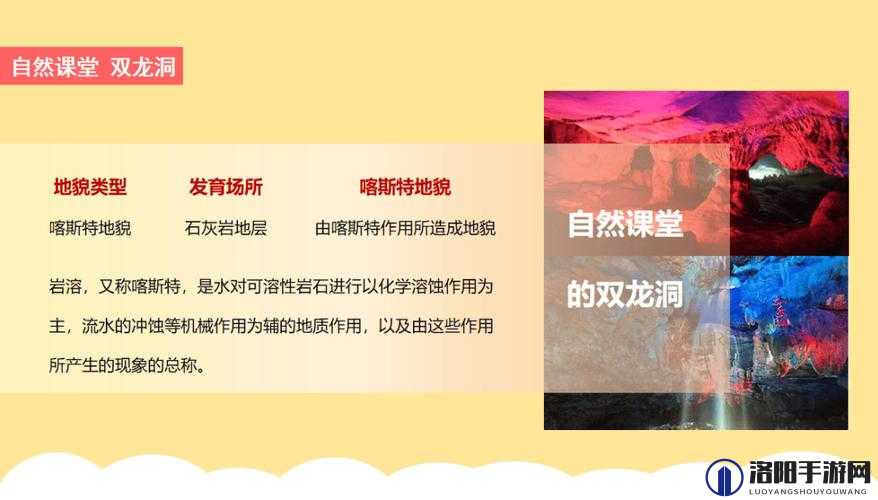 双龙入户的感受引发讨论：探寻其中的神秘与奇妙