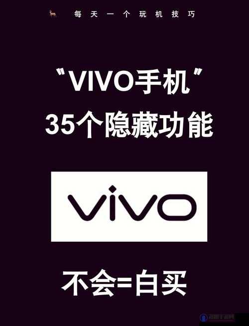 黄金软件下载 3.3 版 vivo：一款强大实用的软件工具