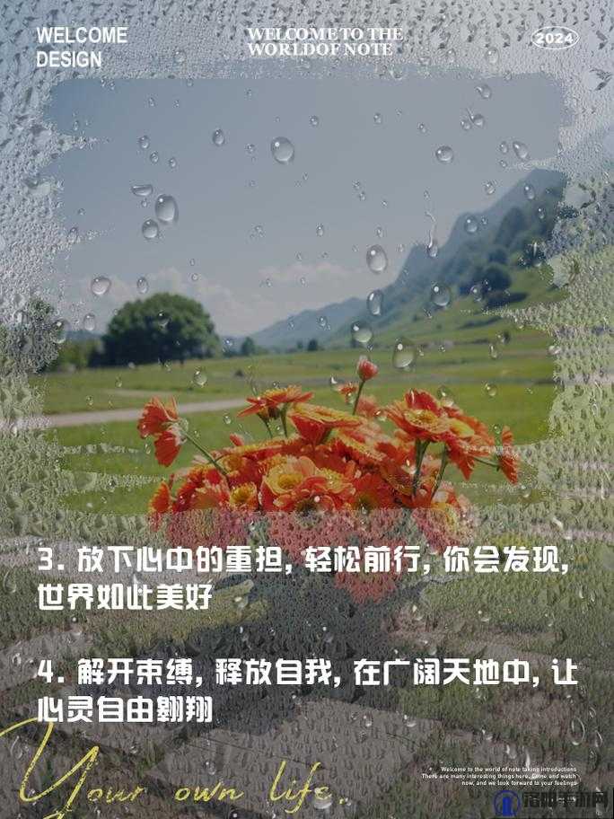 任他驰骋索取:在广阔天地中尽情释放自我