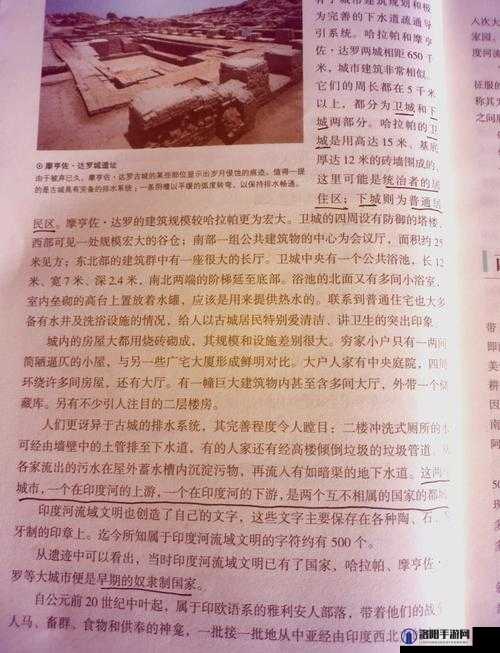 印度 may18-XXXXXL56edu：关于它的详细介绍与相关探讨