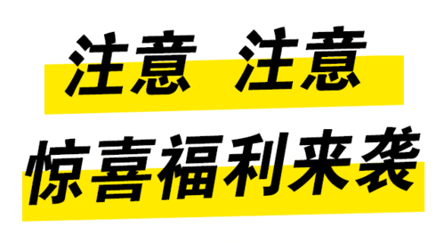 客服的特殊待遇 2:畅享专属服务与惊喜福利