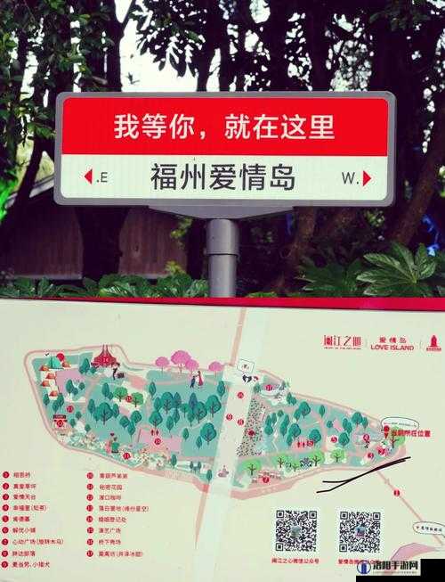 爱情岛网站：带你体验浪漫与温馨的情感世界