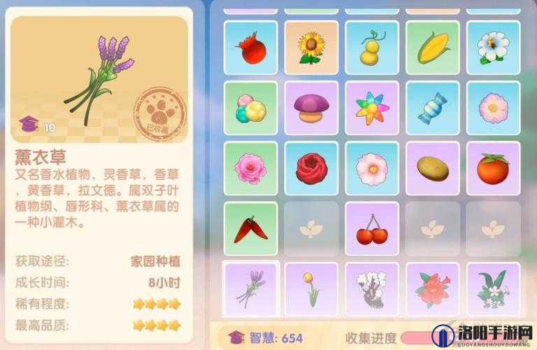 摩尔庄园薰衣草花梗获取攻略