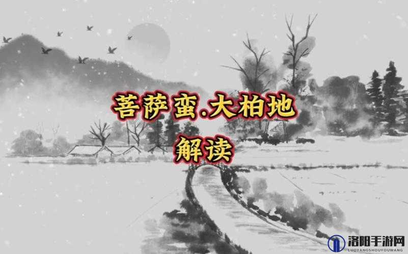穿越优质 jy 收集系统游戏菩萨蛮：一场跨越时空的奇妙冒险