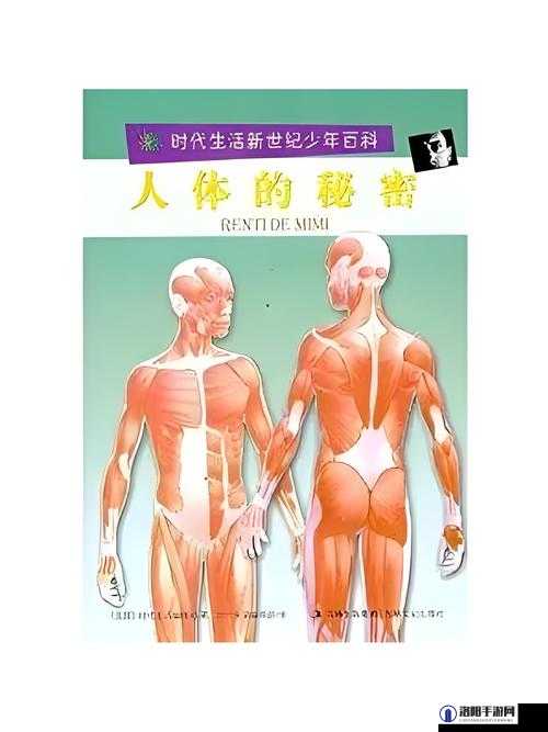 揭秘：探索小芳人体艺术网背后的秘密