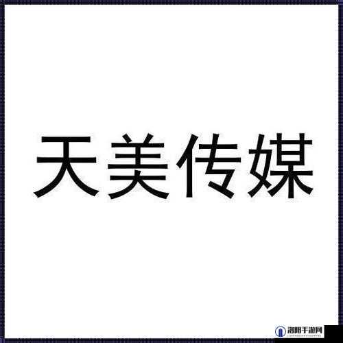 天美传媒有限公司宣传片：展现公司独特魅力与卓越成就之路