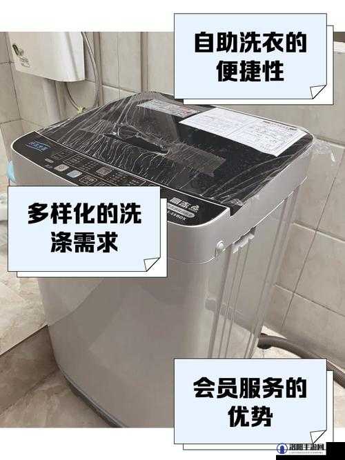 nana-taipei 洗衣机资源:全方位详细介绍与深度解析