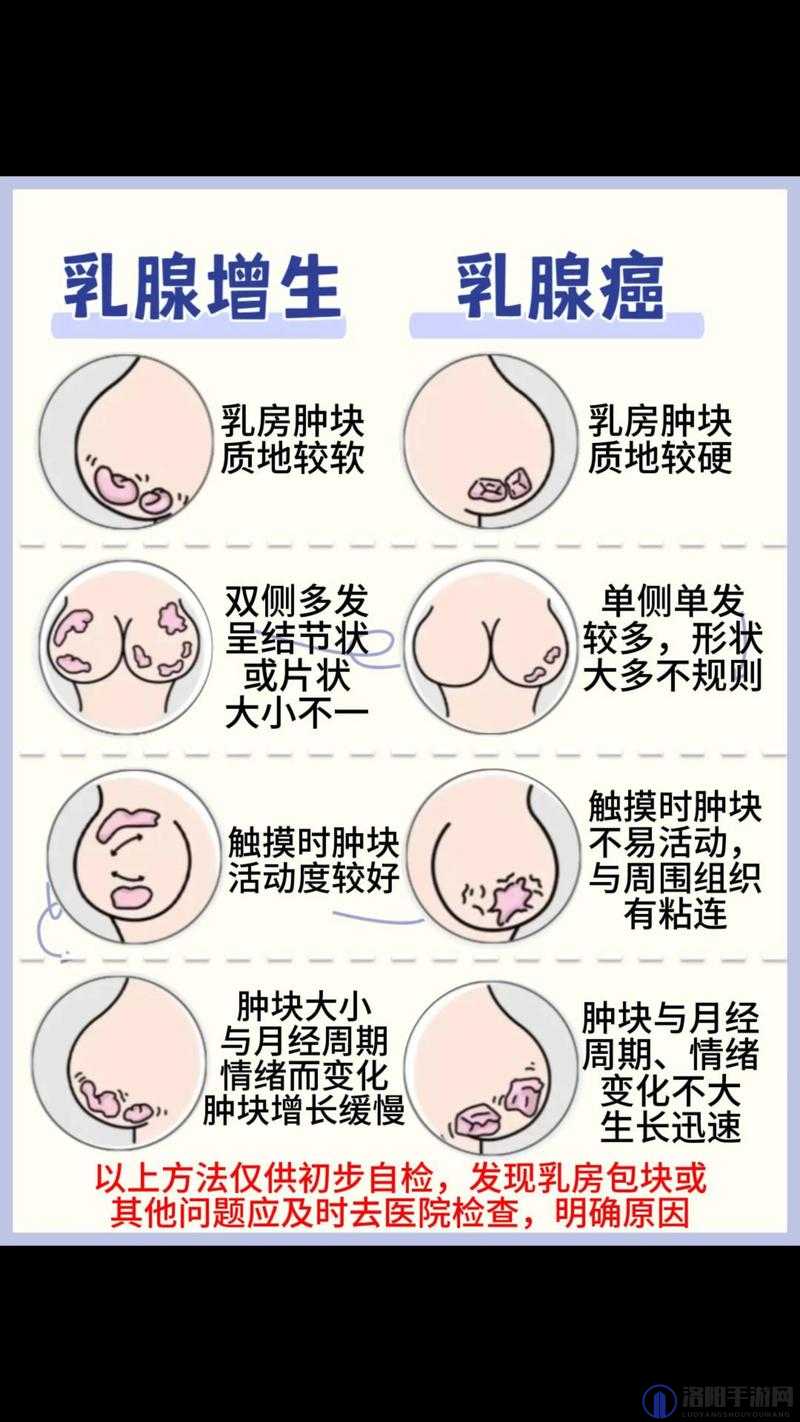两个奶被揉得又硬又翘是怎么回事：揭秘乳房结构和生理反应