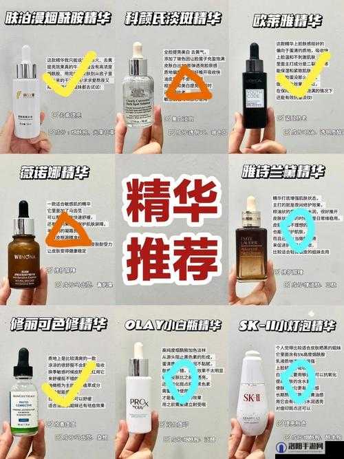 精华区二区区别：深度剖析两者的显著不同与特点