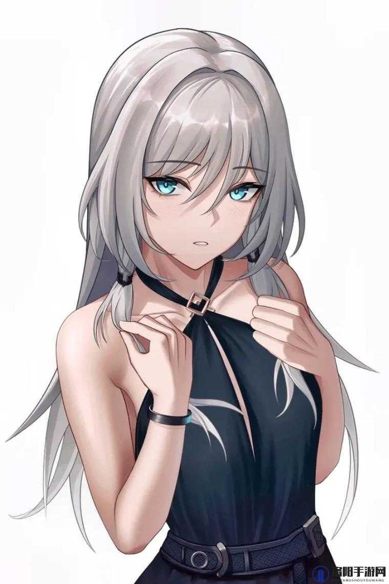 使命召唤少女前线AN94公式是什么