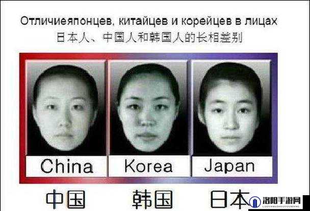 日本人与欧洲人区别三之差异解读