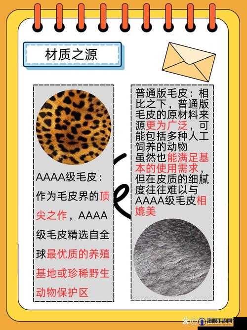 AAAA 级毛皮与普通 AAAA 的区别究竟在哪