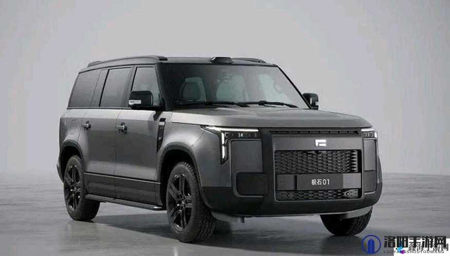 欧洲版的国产 SUV：以卓越品质征服欧洲道路的新势力