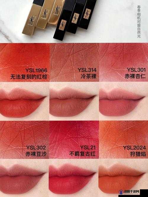 ysl 千人千色 t9t9t9t9t9mba 具体色号及适用人群全解析
