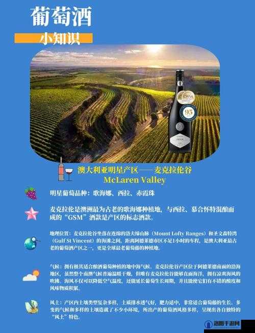 欧美精品：一产区、二产区的独特魅力