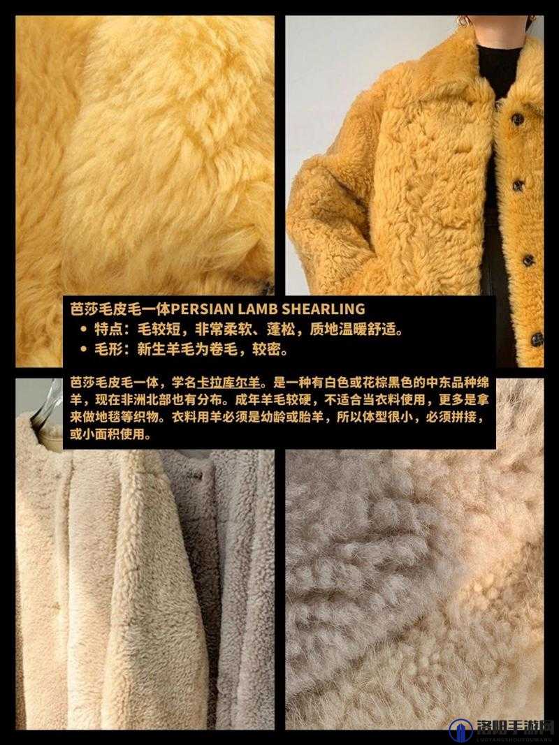 AAAA 级毛皮最火的一句在完成首秀后正式上架：市场反响热烈引关注
