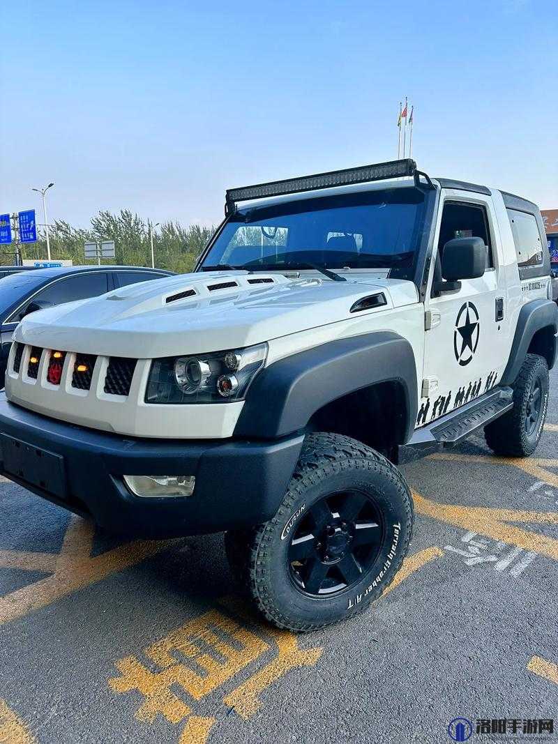 两个我 bj40 分钟：关于此内容的详细探讨与分析