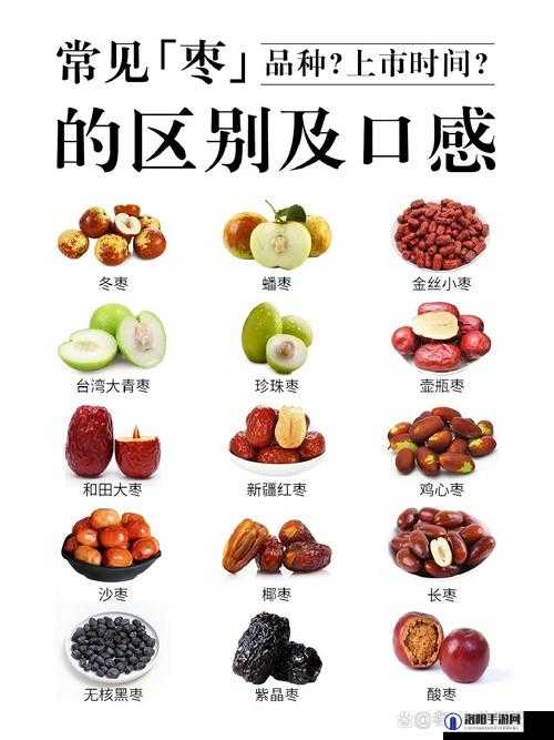 大枣和红枣有什么区别：从外观到营养的全面剖析