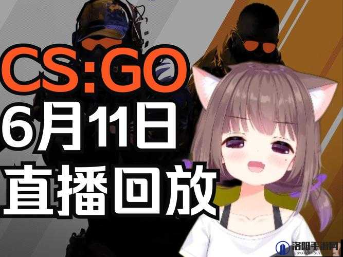 小花妹妹 csgo 哪里直播：探寻最佳观播途径指南