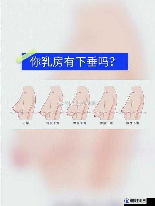 20 岁的胸部：柔软且下垂，该如何是好？