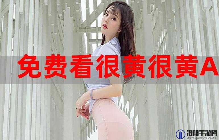 关于叼嘿软件的相关探讨与分析