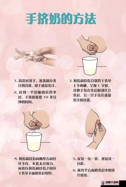 改造催乳装置瓶子：关于其原理与功能的详细探讨