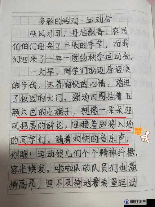 YN 荡校园运动会笔：一场充满活力与激情的体育盛会