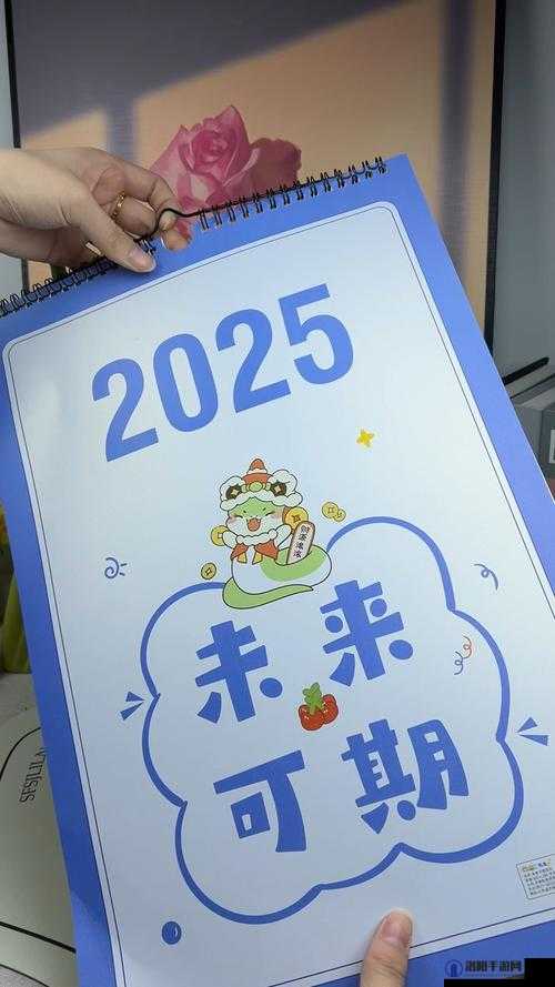 b 站推广入口 2025：探索未来的精彩之旅