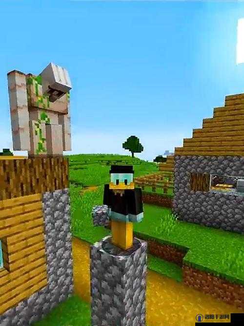 暴躁老外玩Minecraft印度：新奇冒险之旅惊喜不断