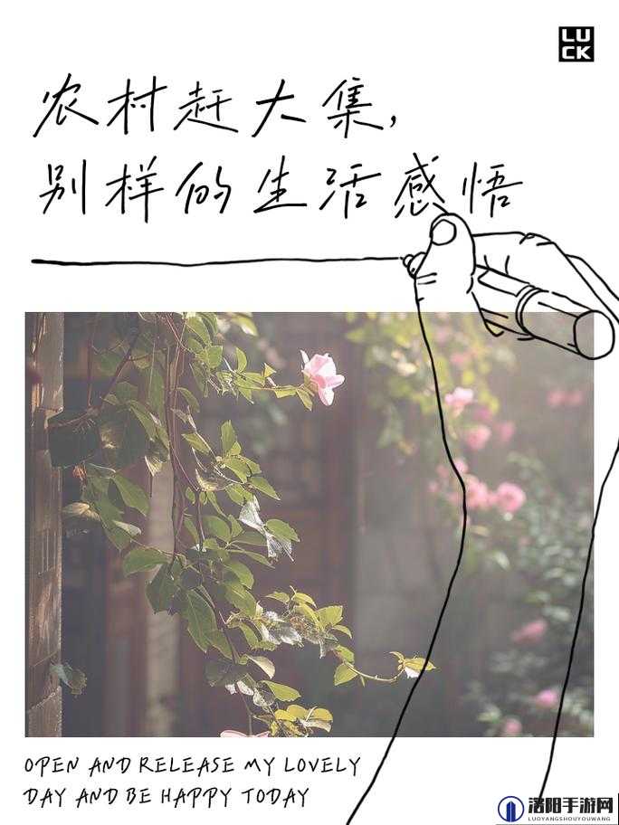 天天谢了天天擦了天天拍了带来的别样体验与感悟