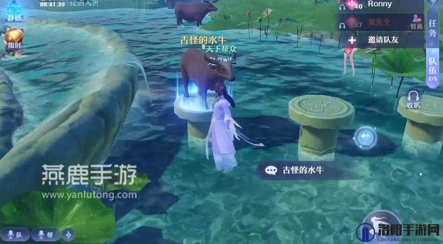 梦幻新诛仙奇遇，揭秘怕水的小水牛藏身之处