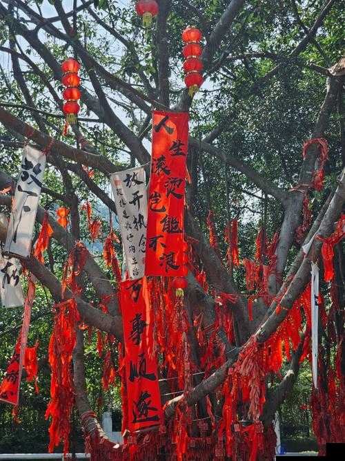 江湖悠悠祈福树在哪里？祈福树玩法攻略详解