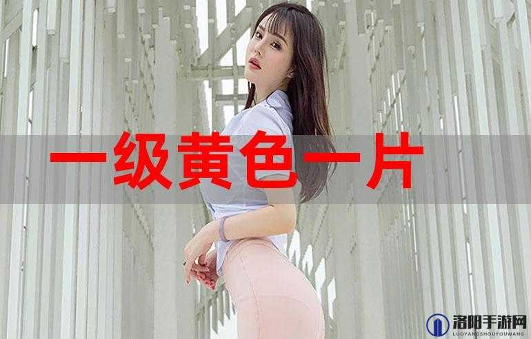 璜铯肉肉视频精彩内容大揭秘：独特视角呈现别样魅力
