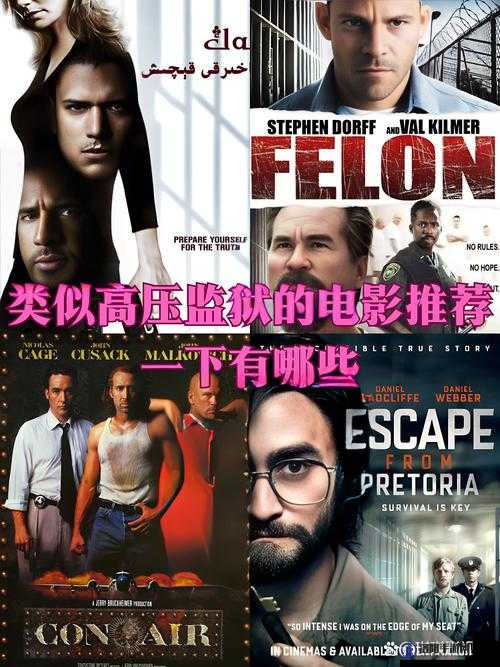 八戒八戒影视大全免费版高压盗狱：一款存在侵权风险的影视应用