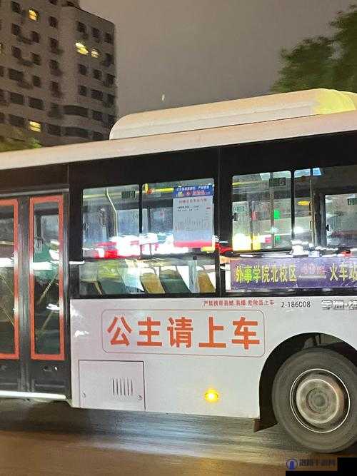 在公交车上被撞了八次高：令人惊讶的公交奇遇记