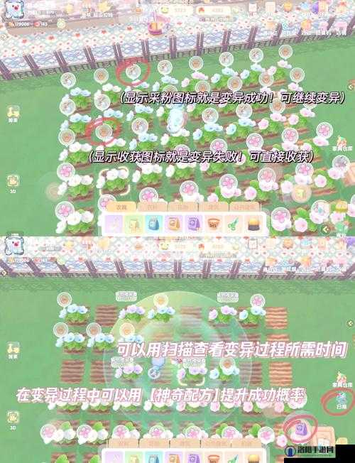 摩尔庄园农夫40级晋级全攻略,解锁新篇章,迈向更高阶!