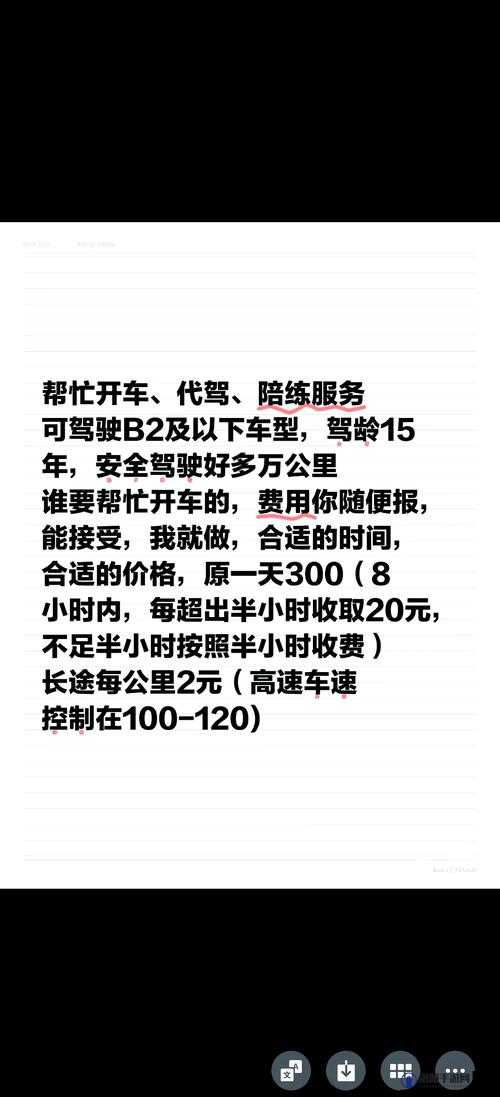 炮阁福利车司机版：专业服务、优质体验与多样特色