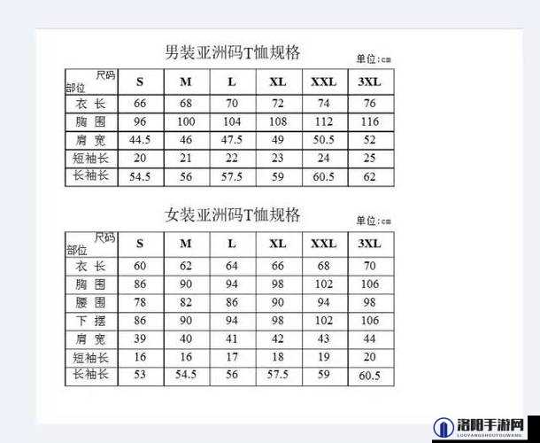 亚洲 m 码：欧洲 s 码服装尺码差异对比分析及选购建议