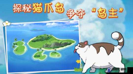 小森生活携带一只猫进入猫爪岛怎么完成
