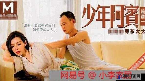 麻豆传煤网站APP入口免费：警惕此类非法平台带来的风险和危害