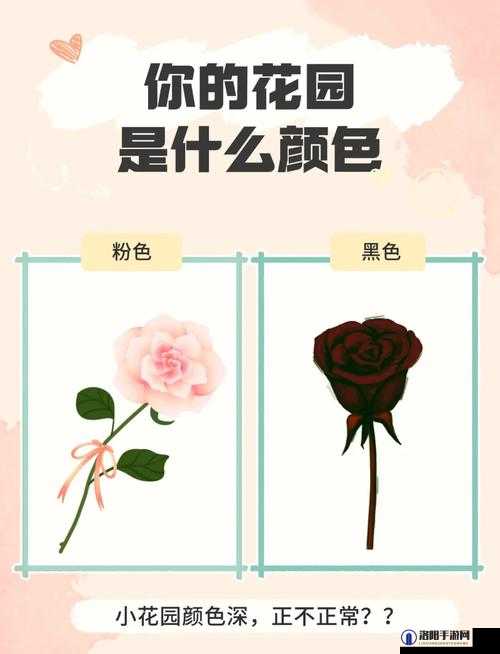 如何正确有效地吸小花园：实用技巧与注意事项
