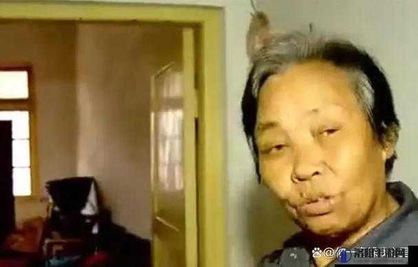 一位老太婆为何会做出如此令人震惊的行为？背后的原因令人深思